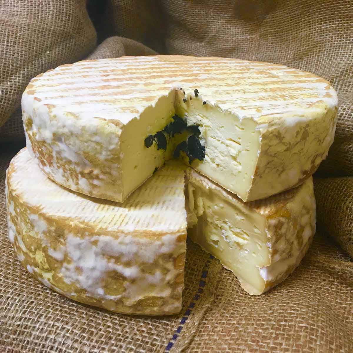 Harvest ash cheese