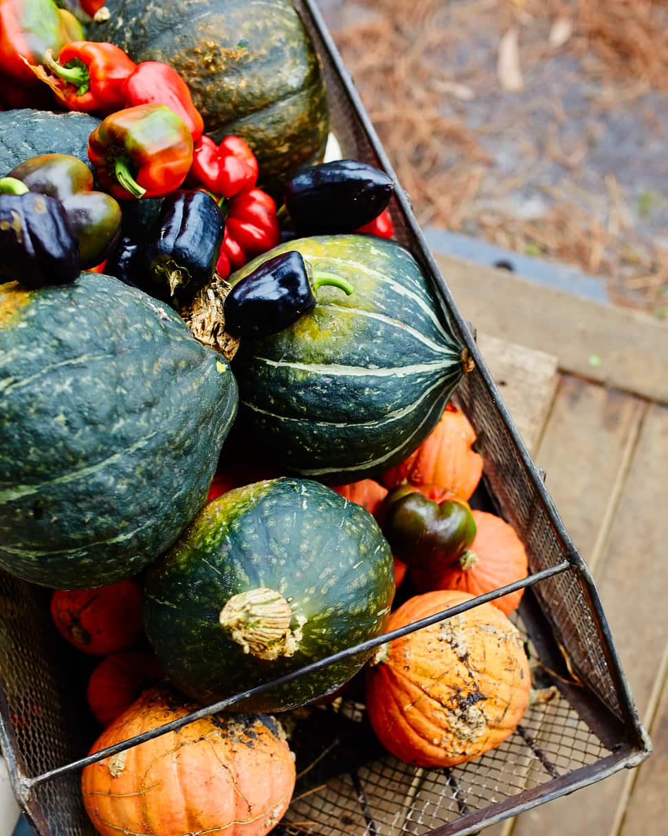 Homegrown: Mornington Peninsula
