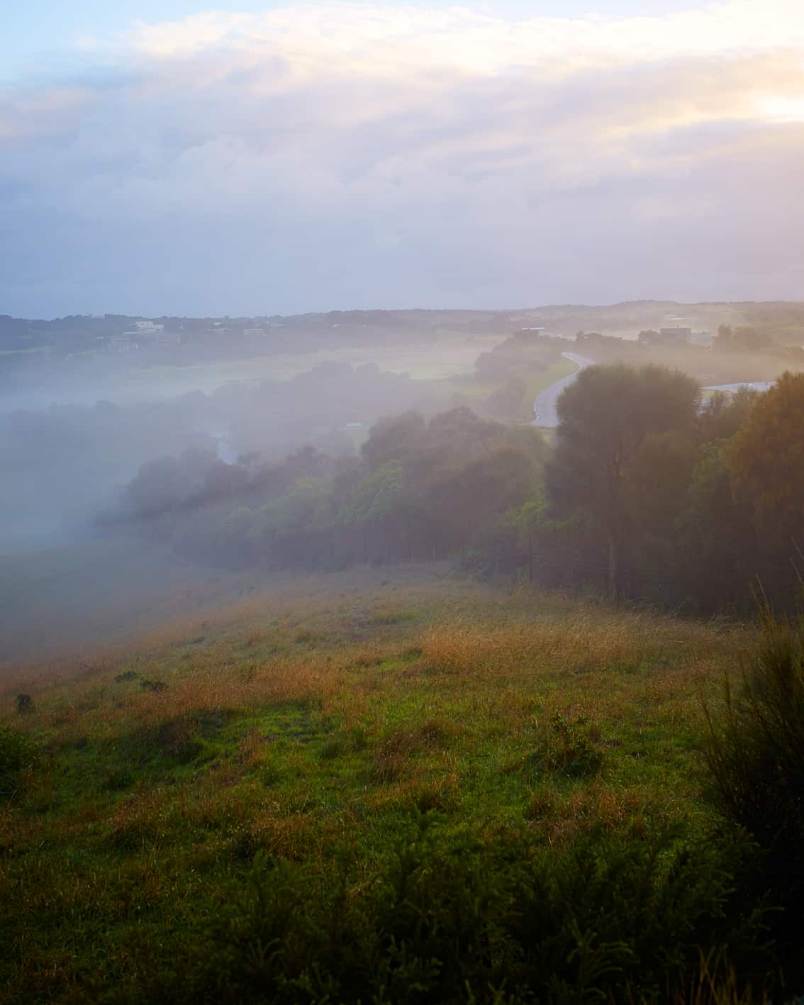 Homegrown: Mornington Peninsula