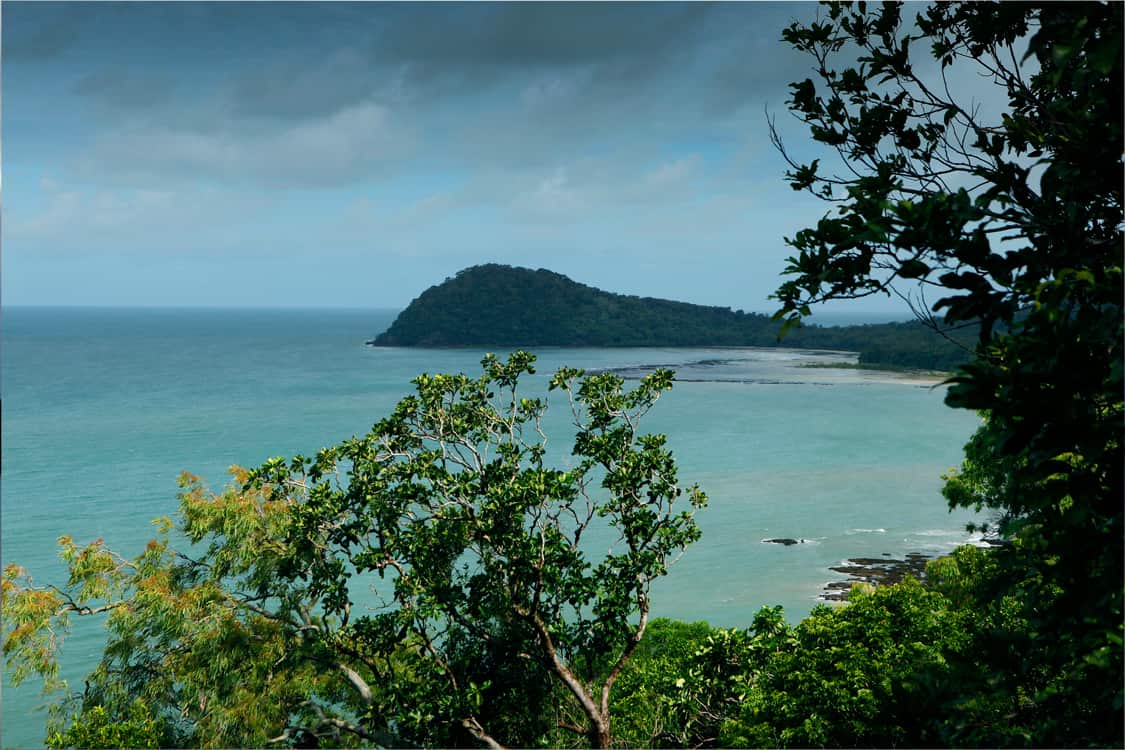 Homegrown: North Queensland