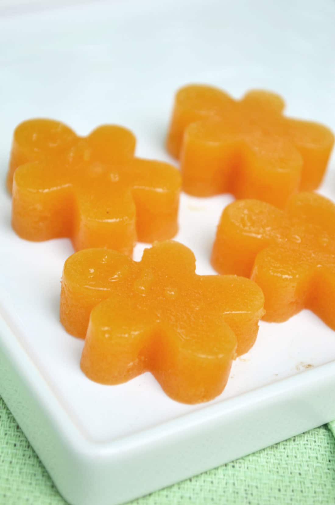 homemade-fruit-snacls.jpg