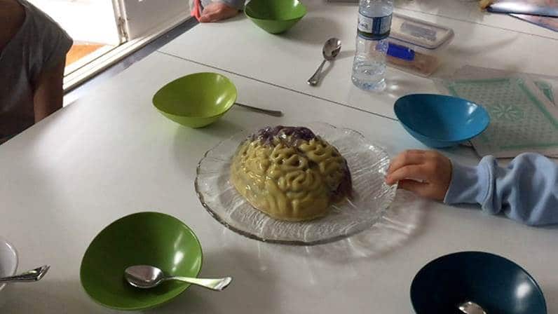 A brain-shaped birthday cake.