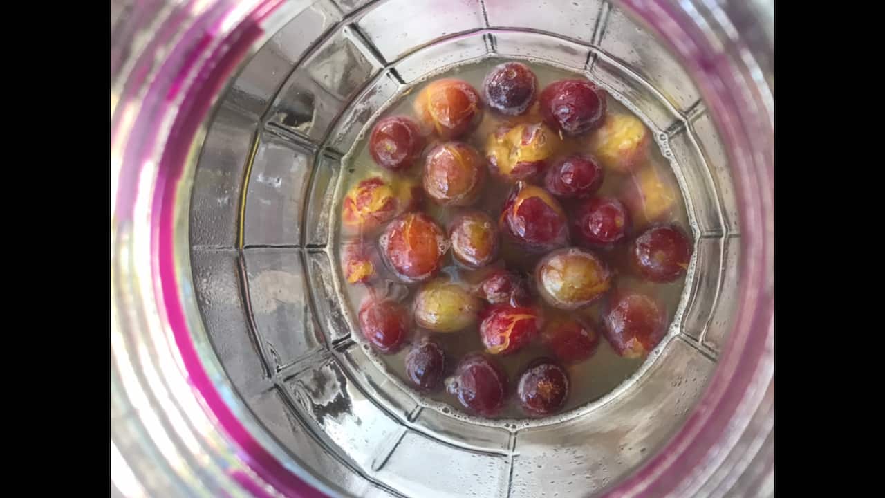 Plums fermenting