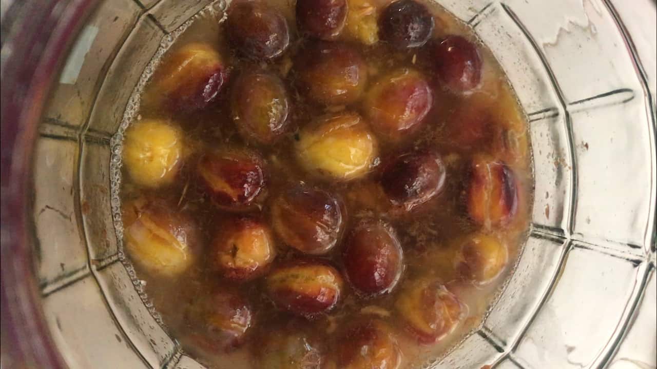 Plums fermenting
