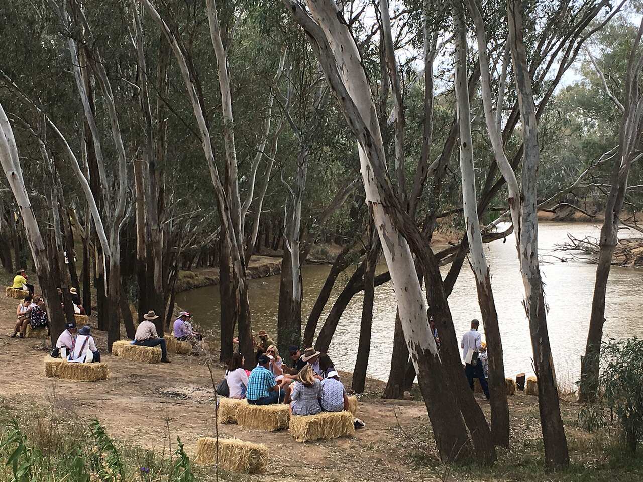 Grazing Down the Lachlan