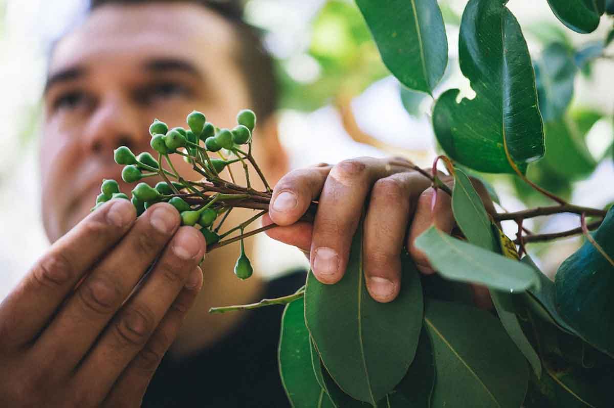 Josh Whiteland runs Koomal Dreaming. 