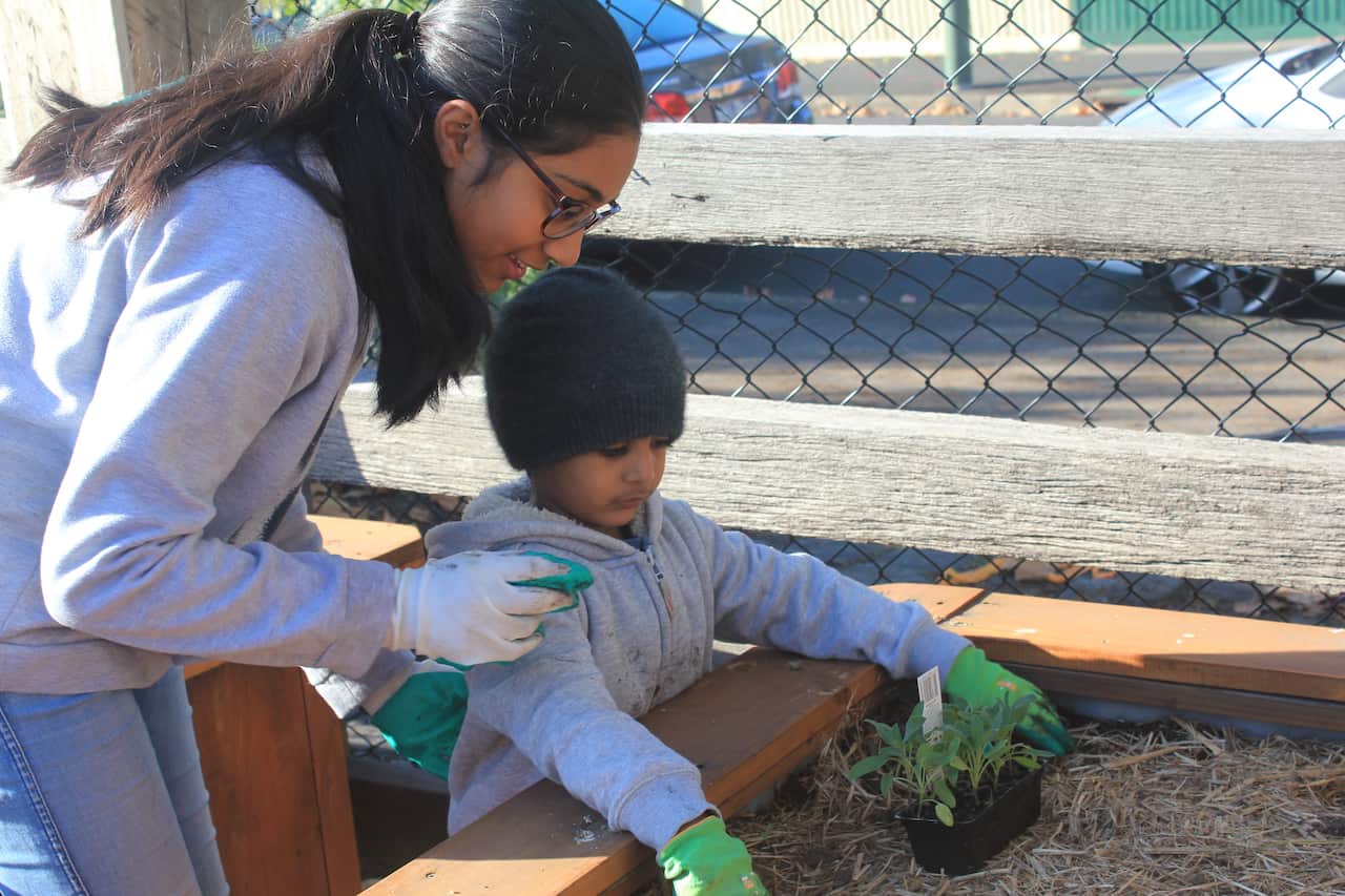Community compost volunteers in Kensington