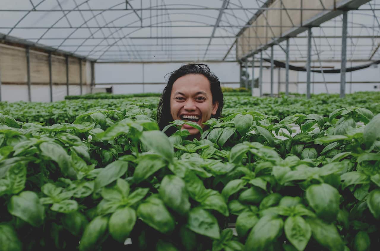 Khanh Ong’s Wild Food 