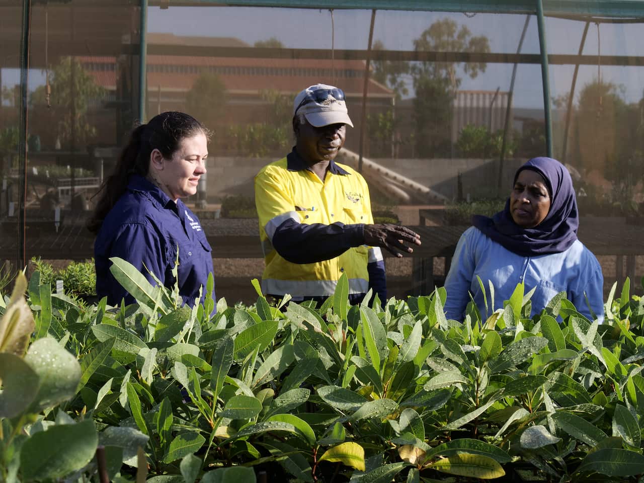 (L-R) PhD candidate from UQ, Selina Fyfe; Kevin Wanambi from Gulkula and research lead from UQ Yasmina Sultanbawa.