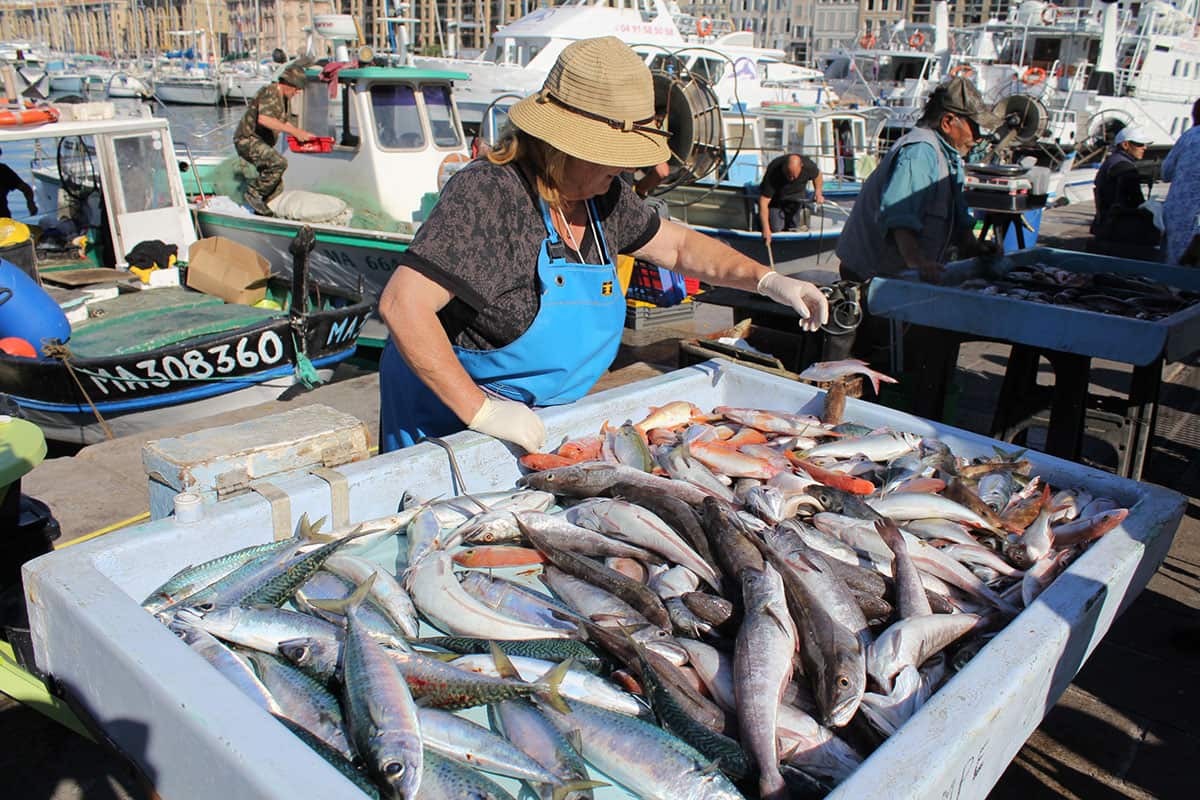 Marseille fish market