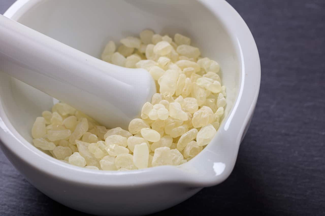 Chios mastic tears in a mortar on grey stone background