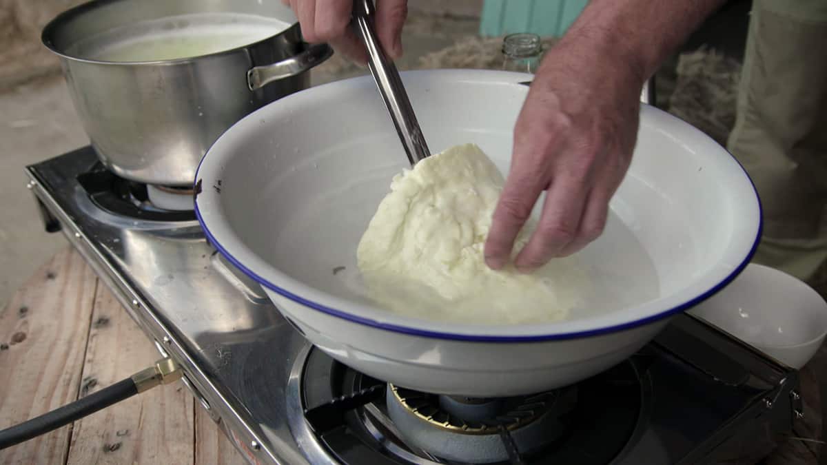 Matthew Evans homemade haloumi