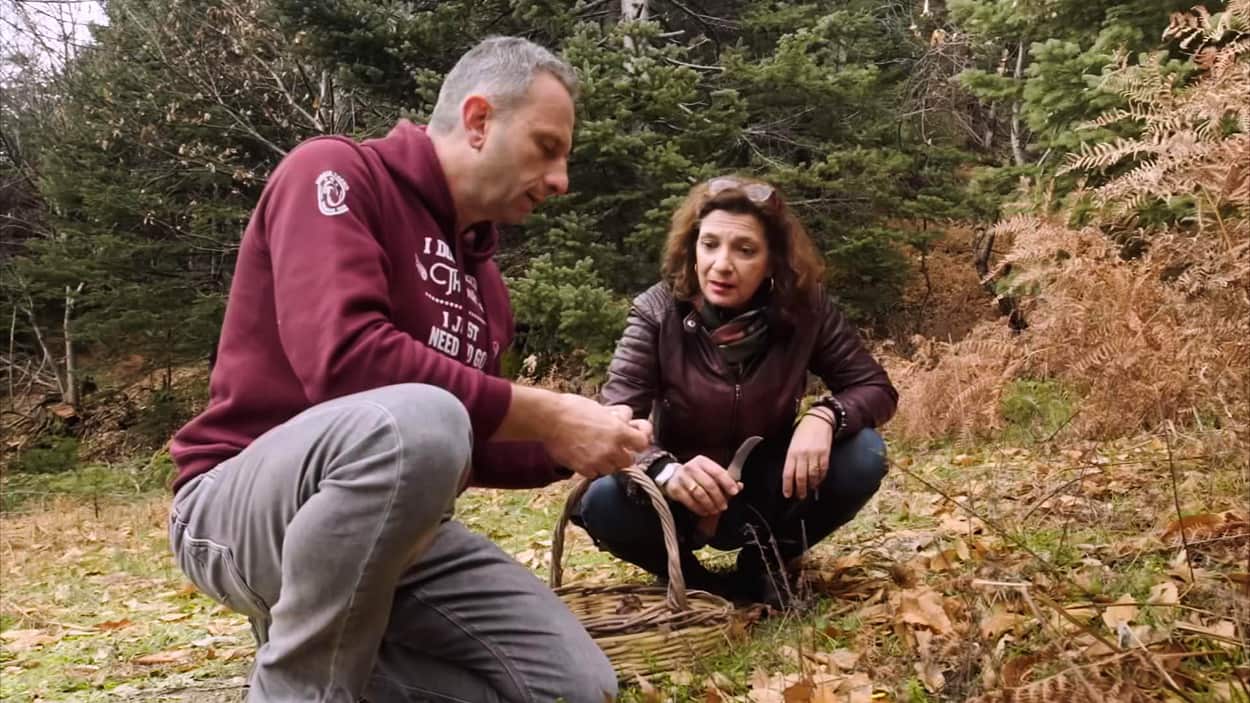 Mushroom farmer and forager Eleftherios Lachouvaris and TV cook Diane Kochilas