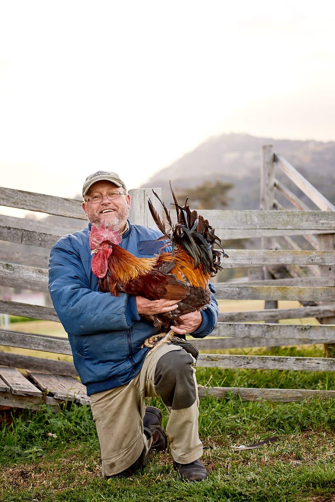 Michael Somerlad and rooster