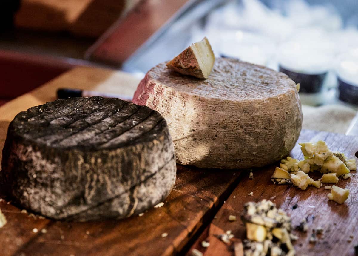 MOULD: A Cheese Festival is also heading to Sydney for the first time this year.