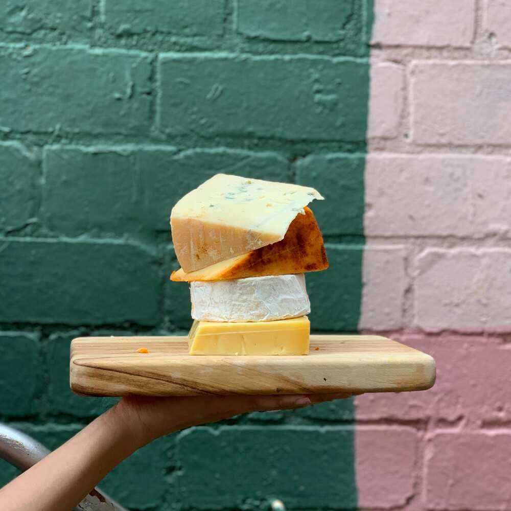 Mould Cheese Collective