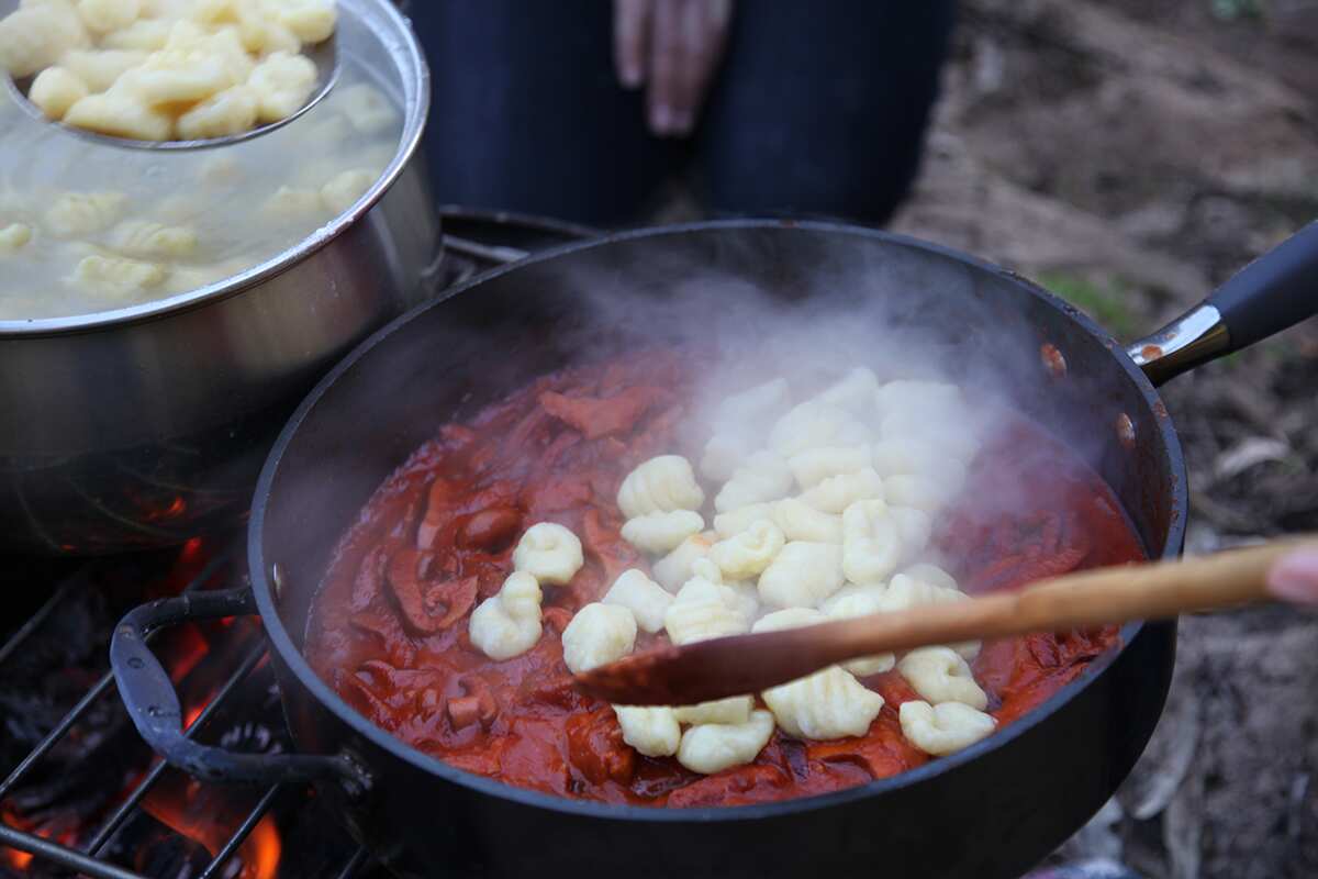 Gnocchi in wild mushroom sauce