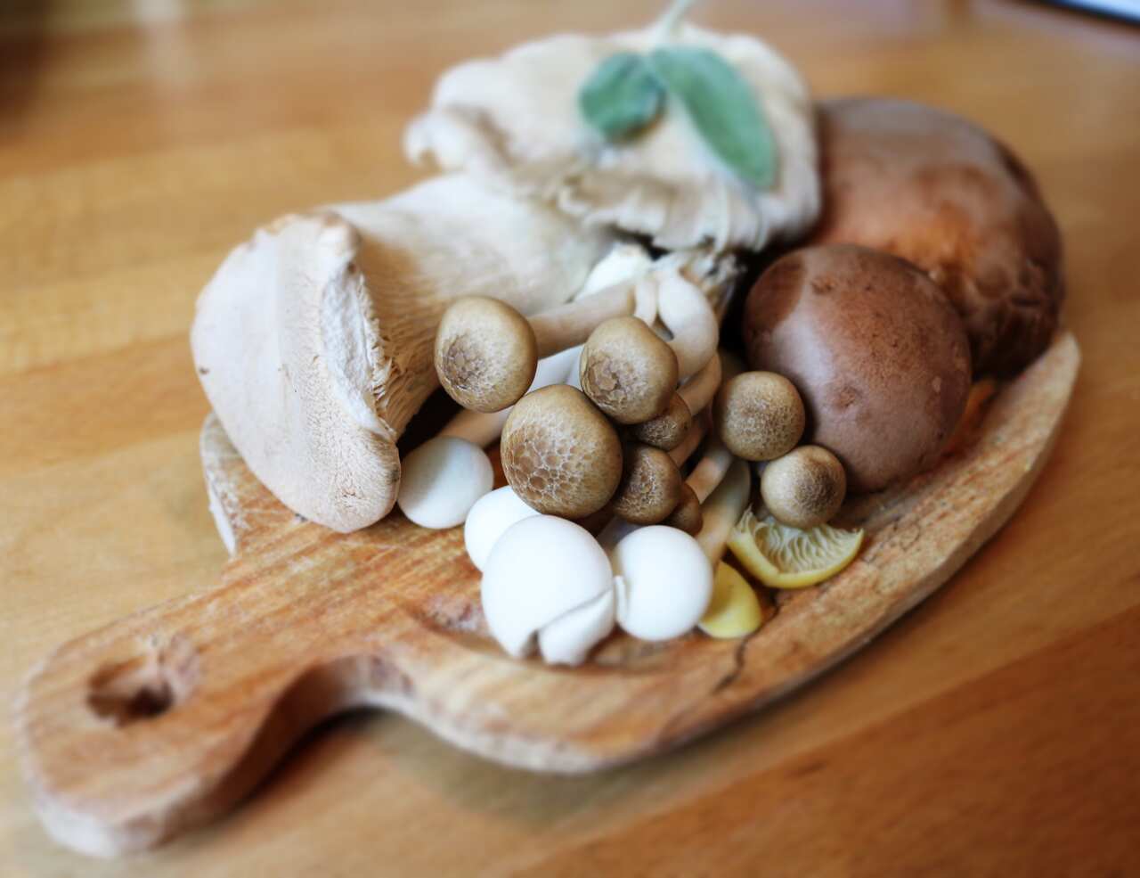 Why I’m obsessed with making the most sustainable burger possible