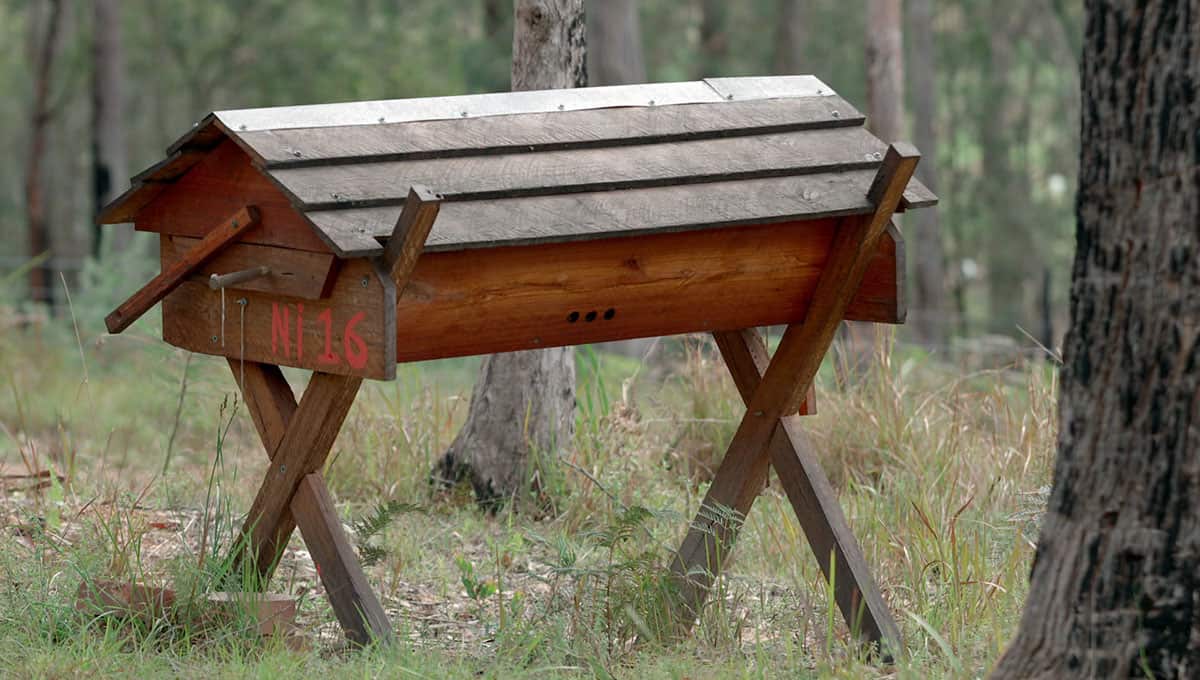 Kenyan Top Bar beehive