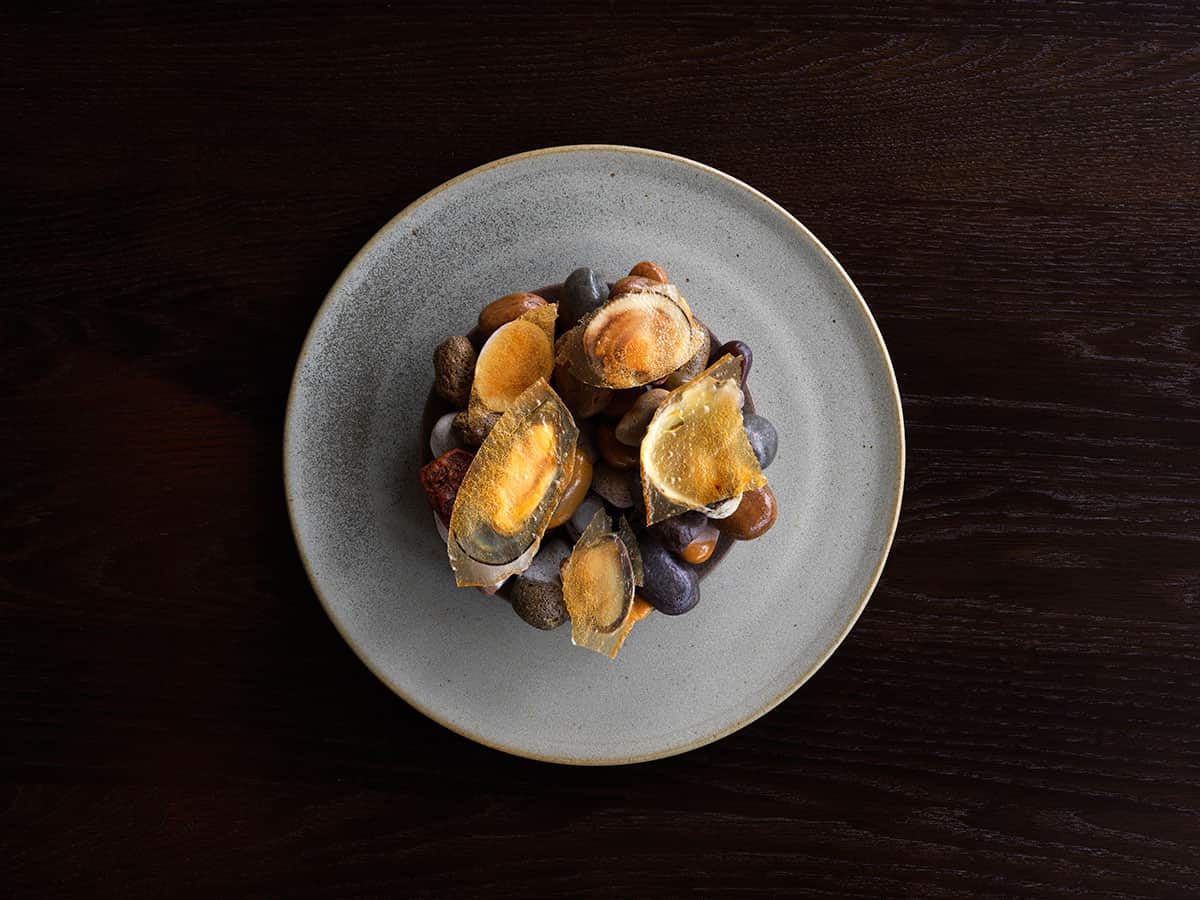 Seafood platter with crocodile fat.