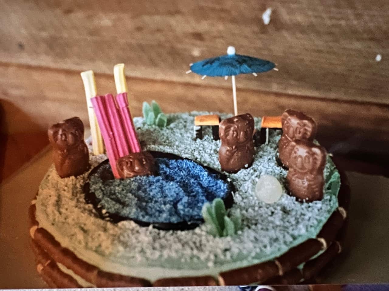 One of Dr Emma Beckett's novelty cakes.