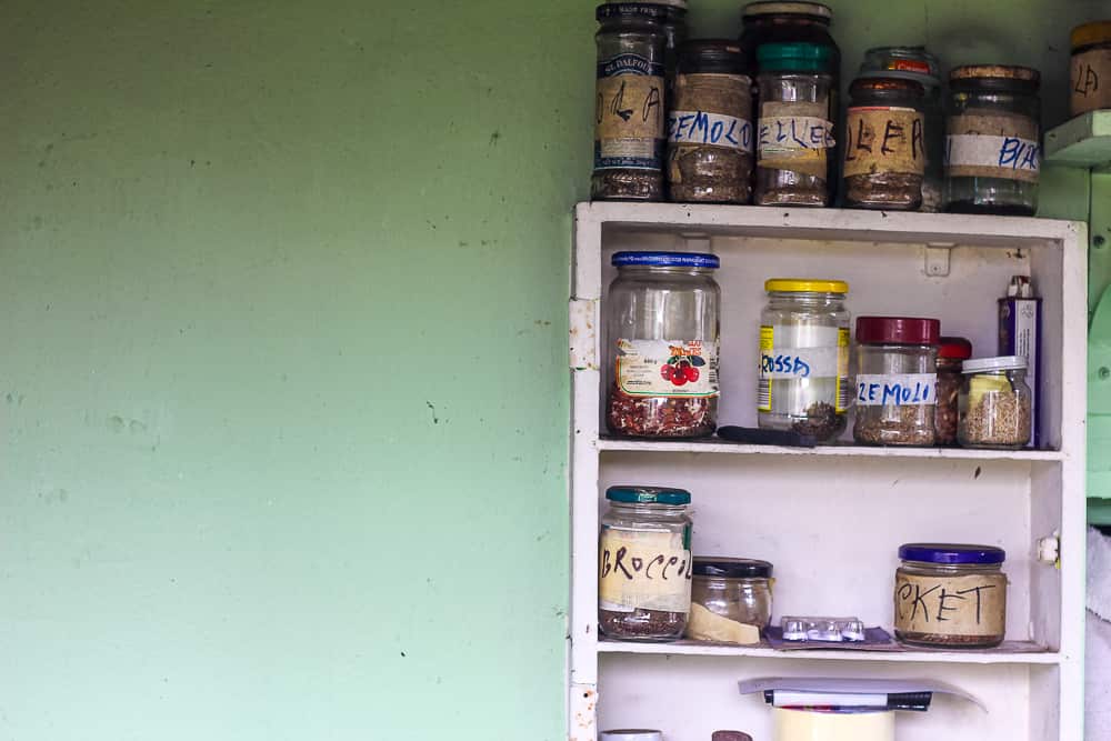 Old jars have many lives, this time to collect next year's seeds.