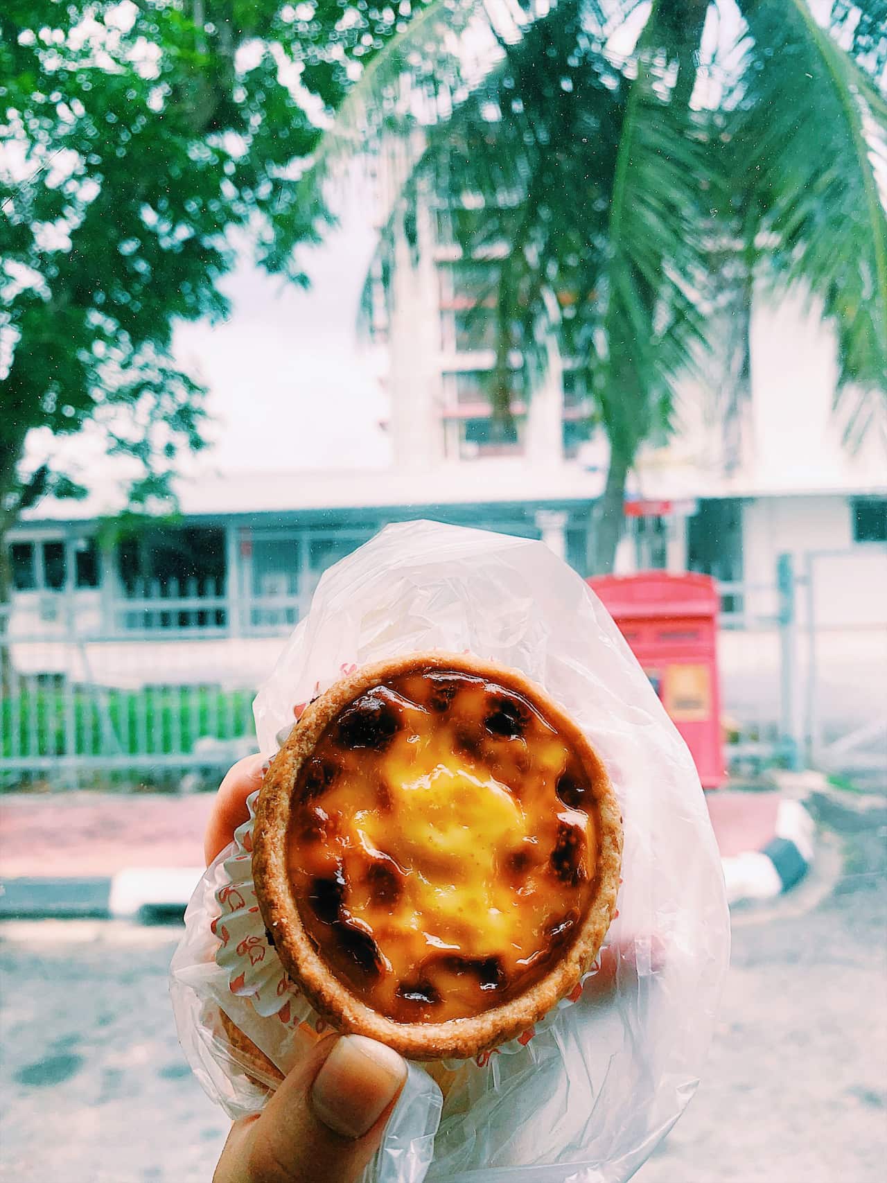 An egg tart