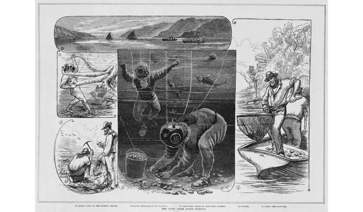  New South Wales oyster fisheries published 1883
