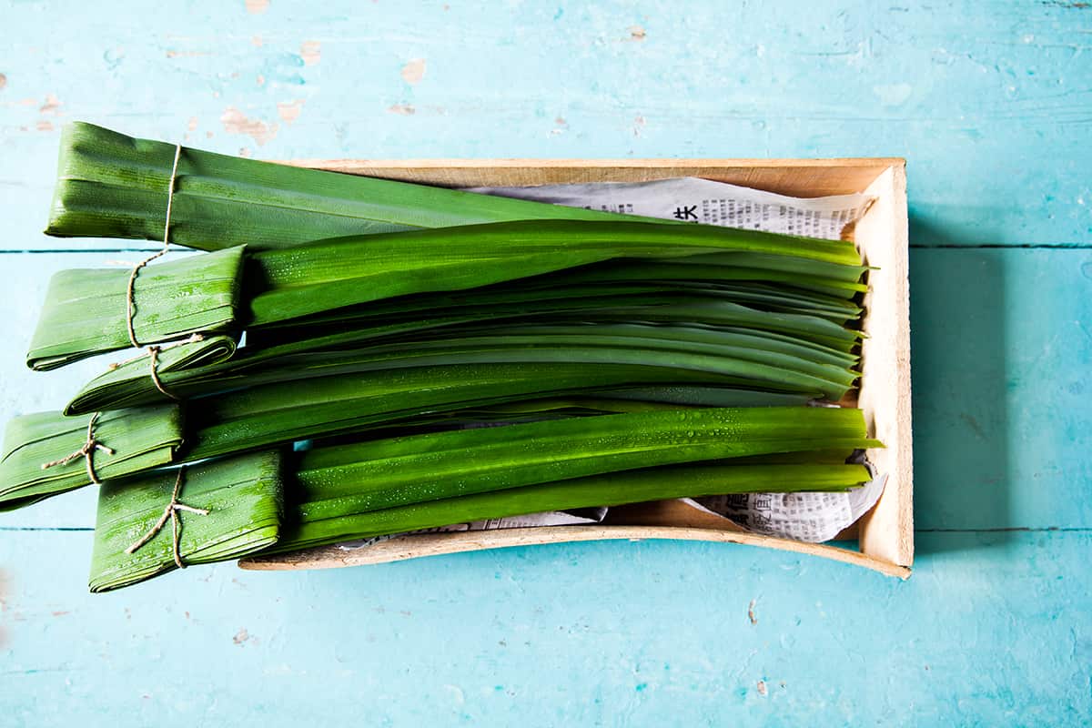 Pandan