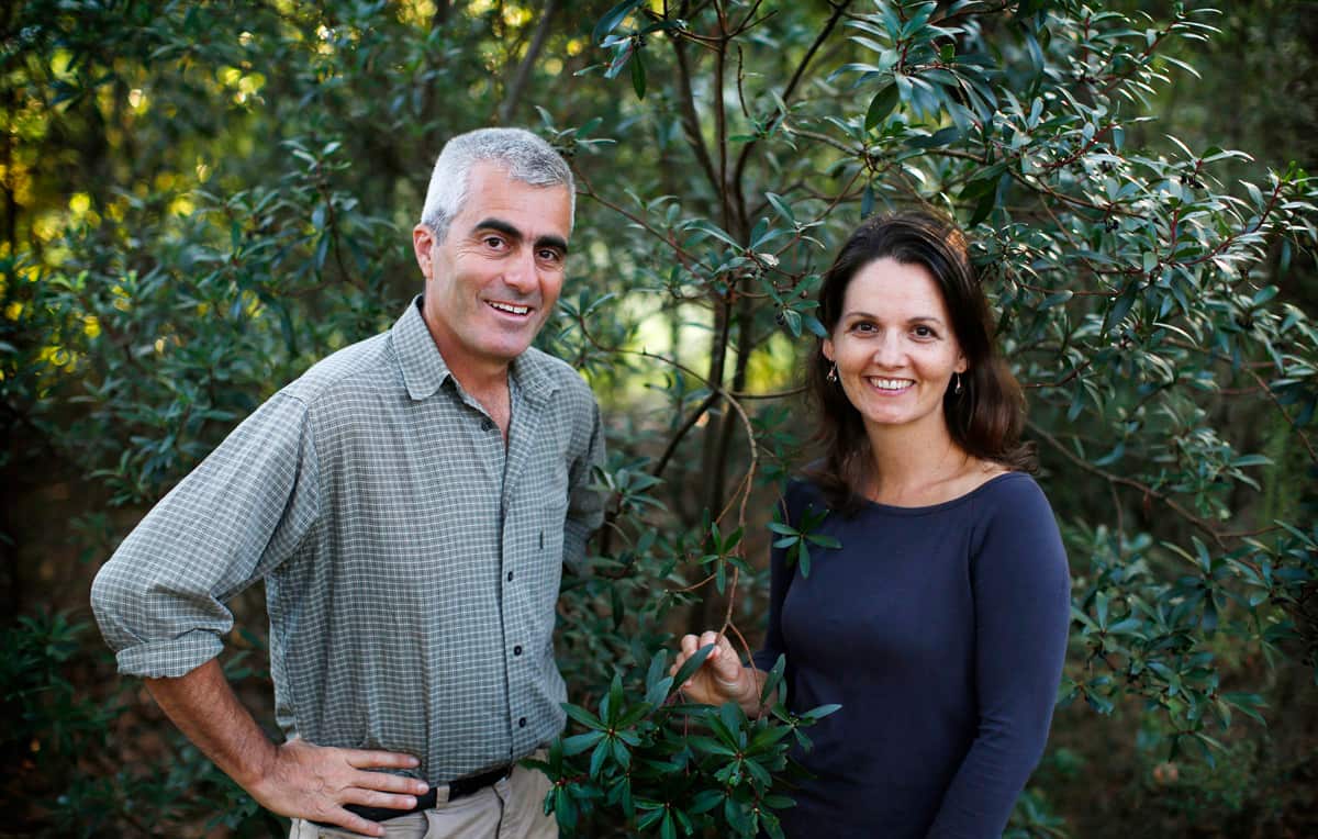 Tim Wimborne and Meraiah Foley grow mountain pepper on their farm.