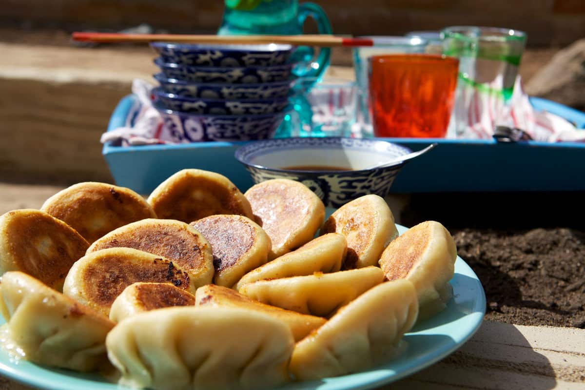 Chinese pork and cabbage dumplings