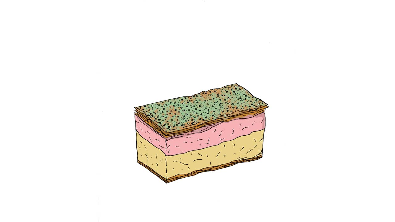 Pomegranate vanilla slice