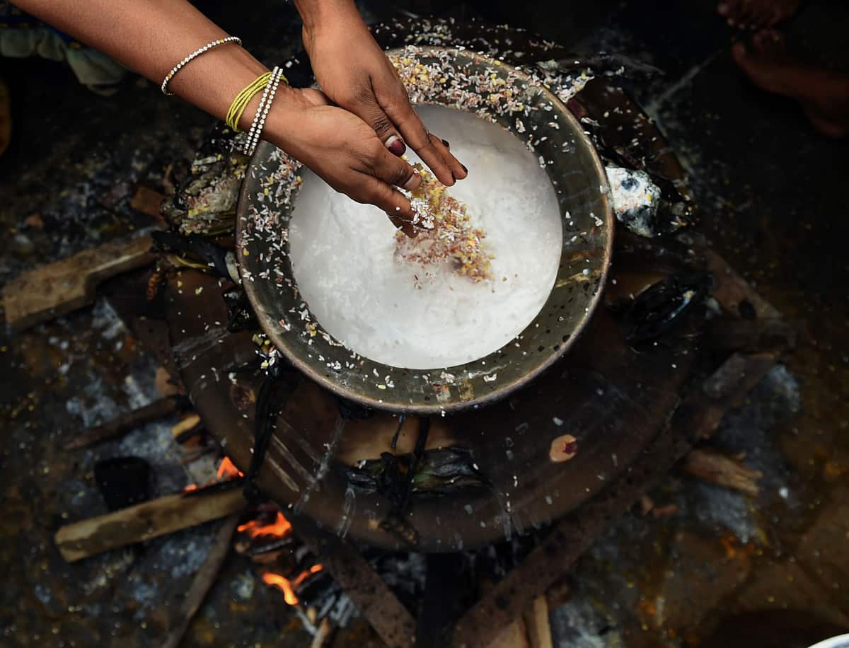 Sri Lankan Hindus prepare a special Pongal dish 