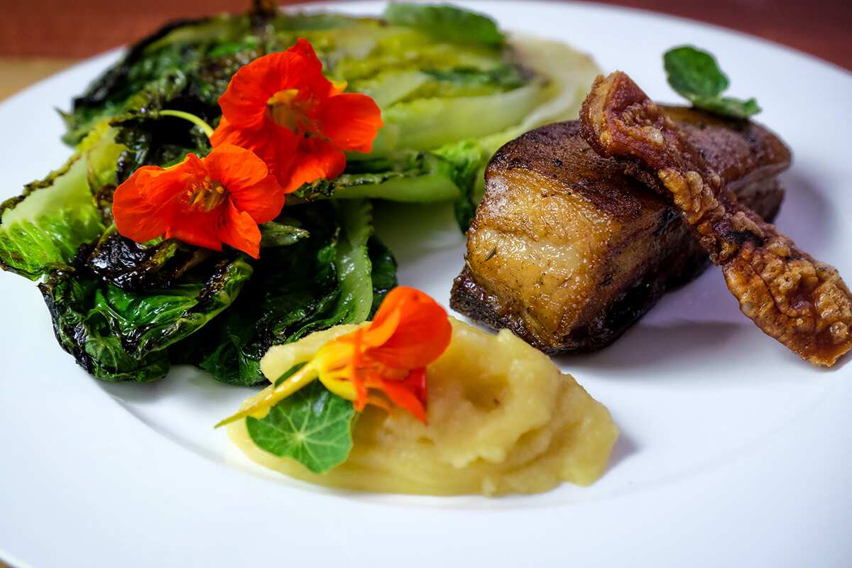 Simple, produce-led food like this pork belly with burnt lettuce and apple best describes Jack's cooking style.