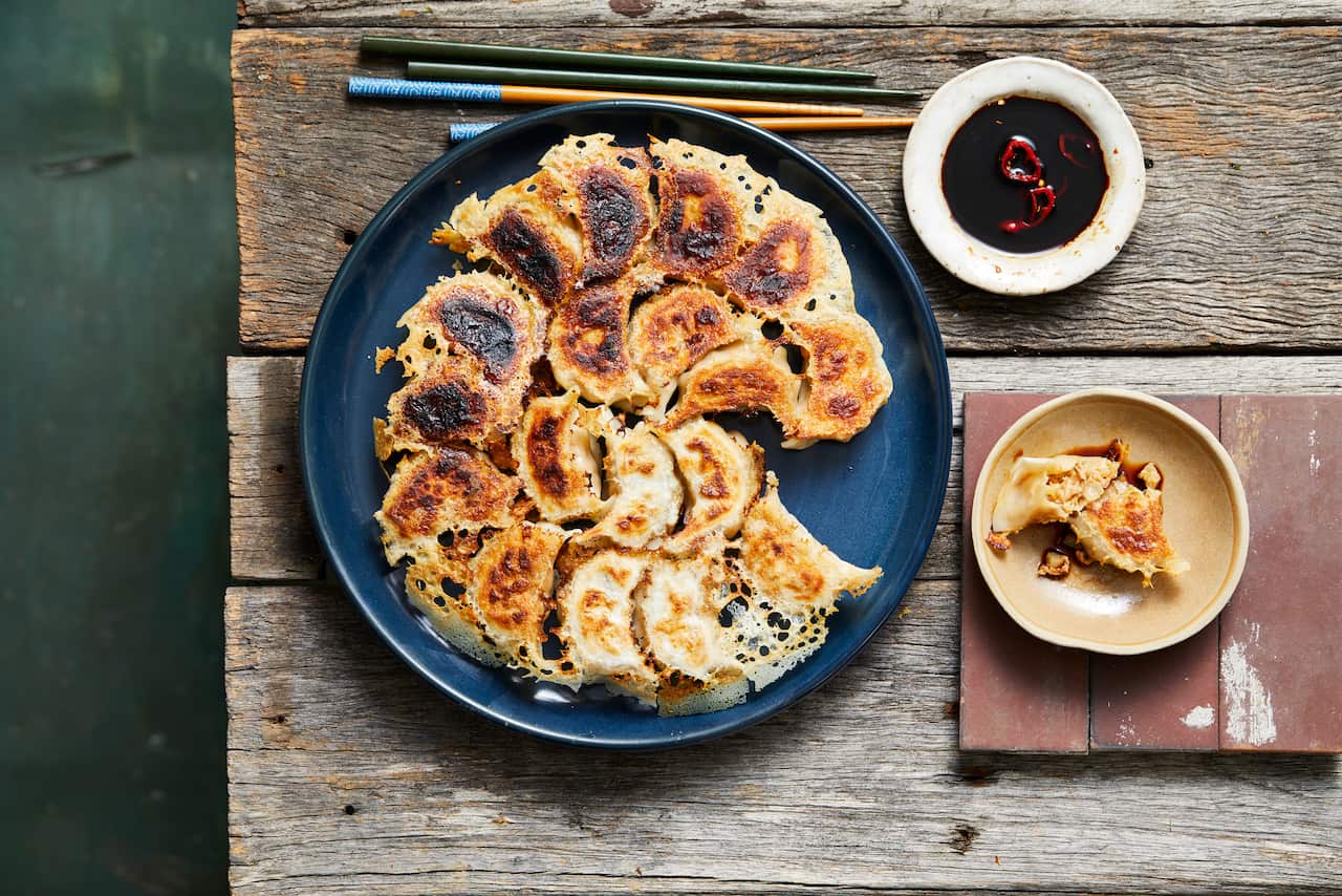 Potstickers with tuna and wombok
