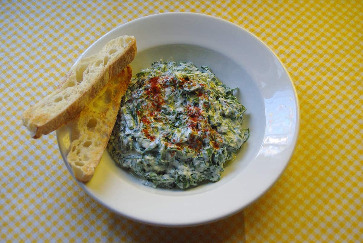 Purslane yoghurt dip