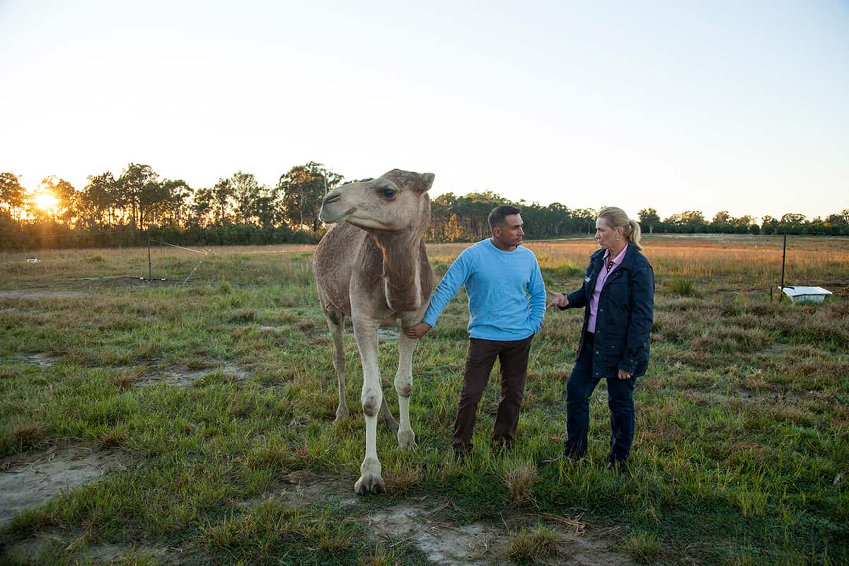 Peter Kuruvita's Coastal Kitchen