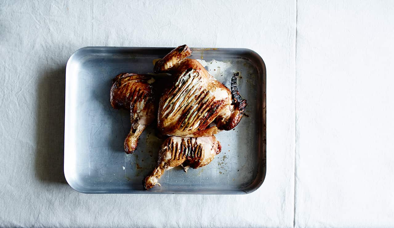 Resting white sauce chicken