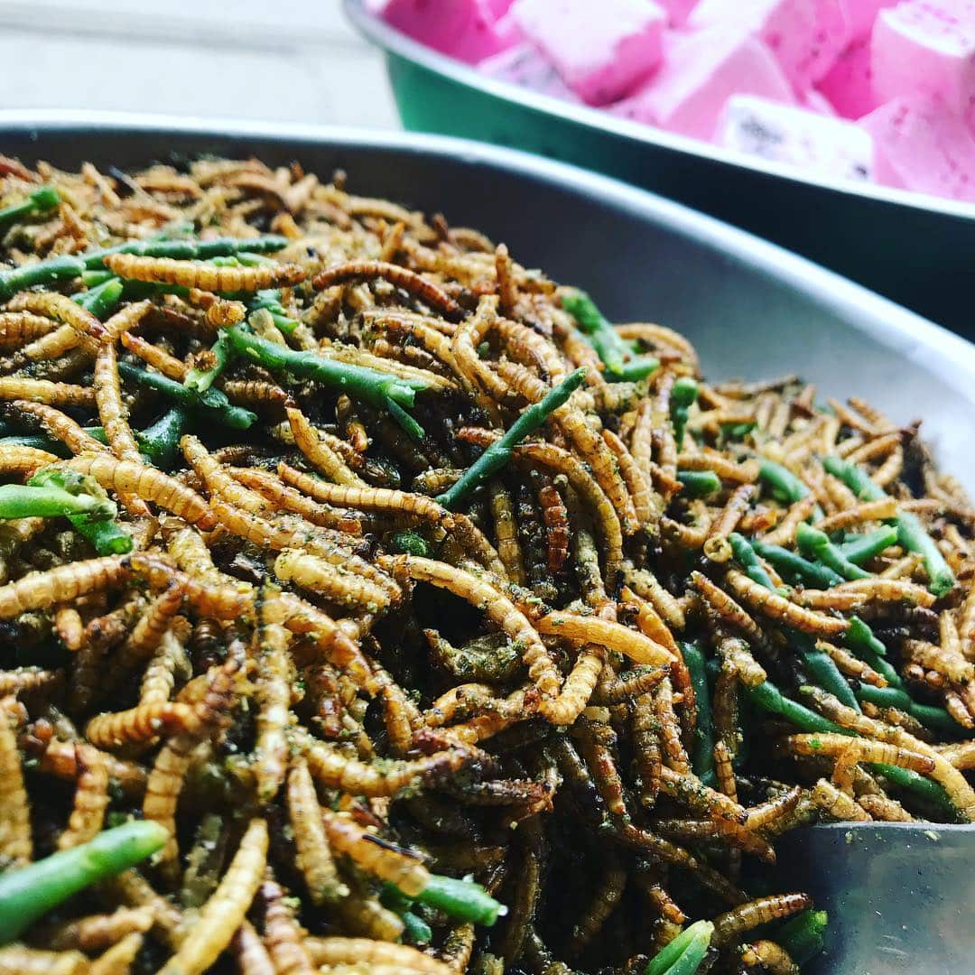 Roasted mealworms