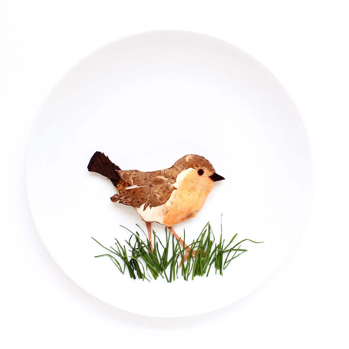 Robin food art