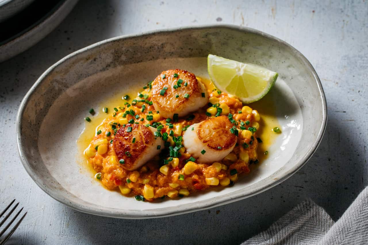 Soffrito corn with seared scallops