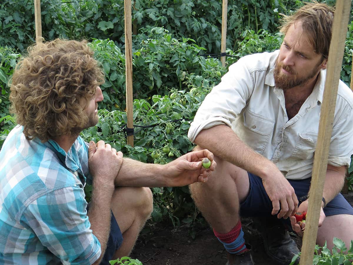 paul West in the garden