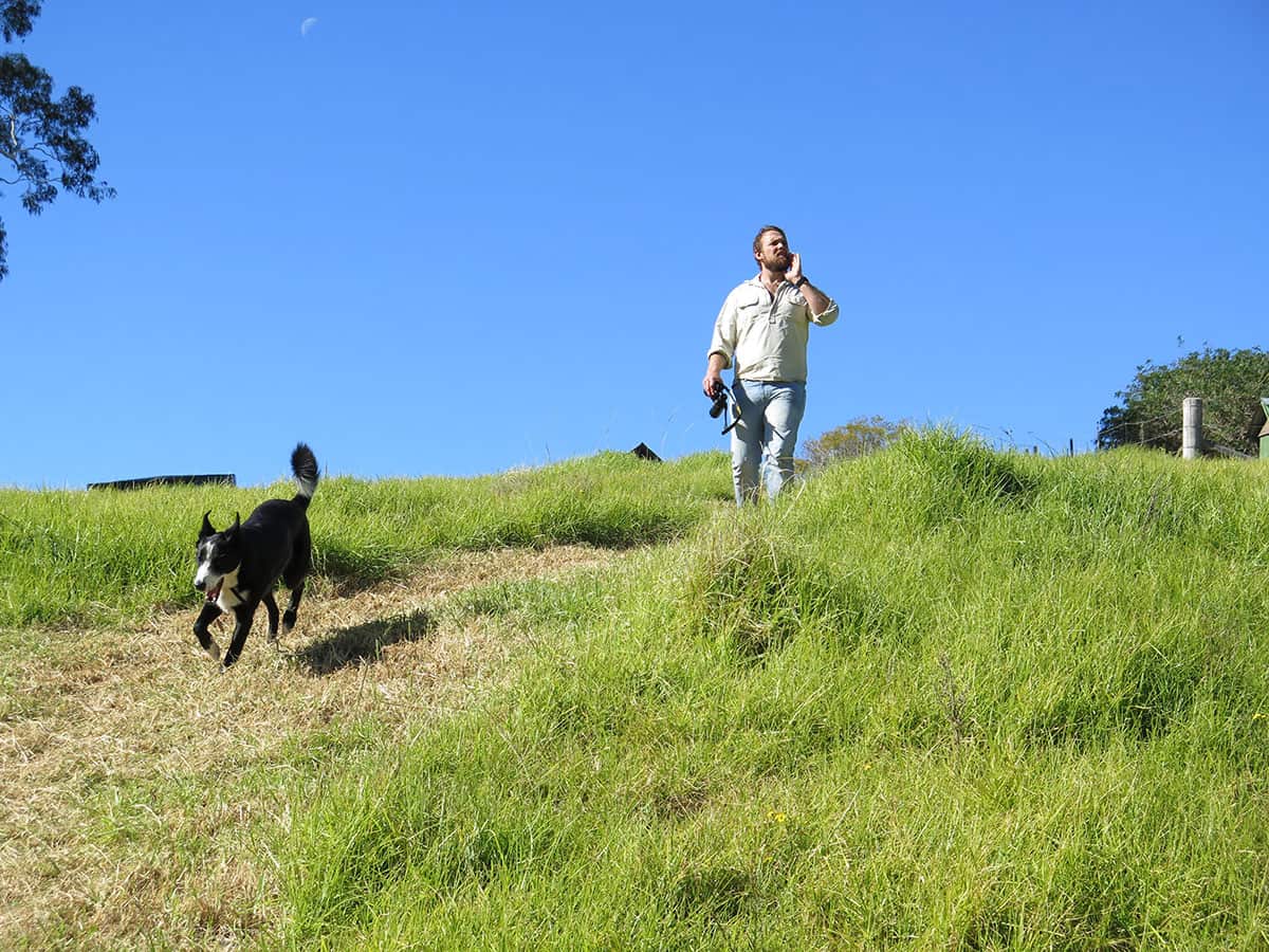 Paul West and Digger hunt for missing goats