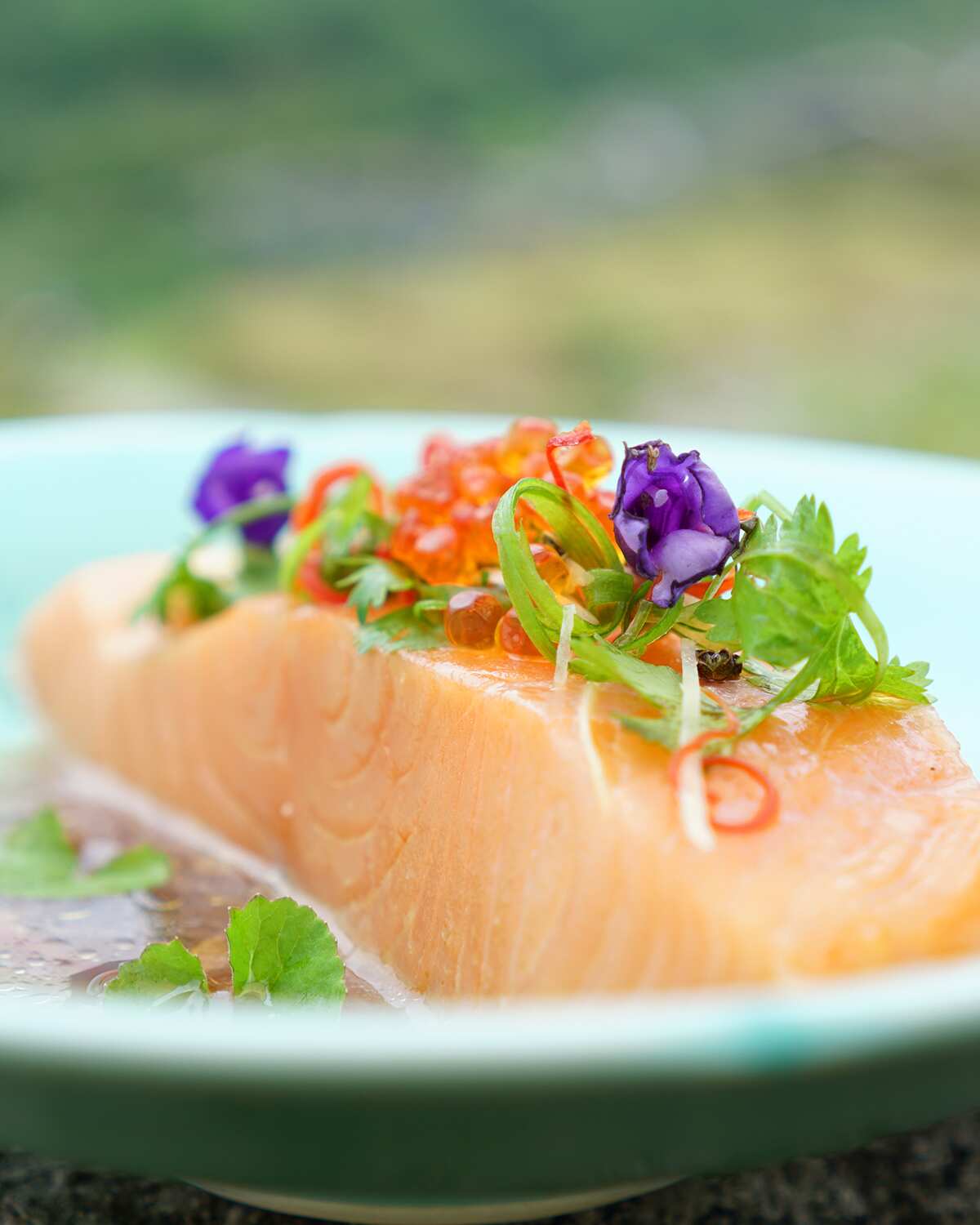 Confit salmon with ginger oyster sauce