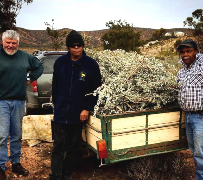 Managing Director of Outback Fresh, Mike Quarmby and foragers, Kelvin and Kelvin Jr 