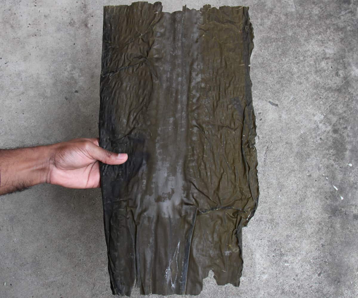 You can find dasima at Asian Staples.