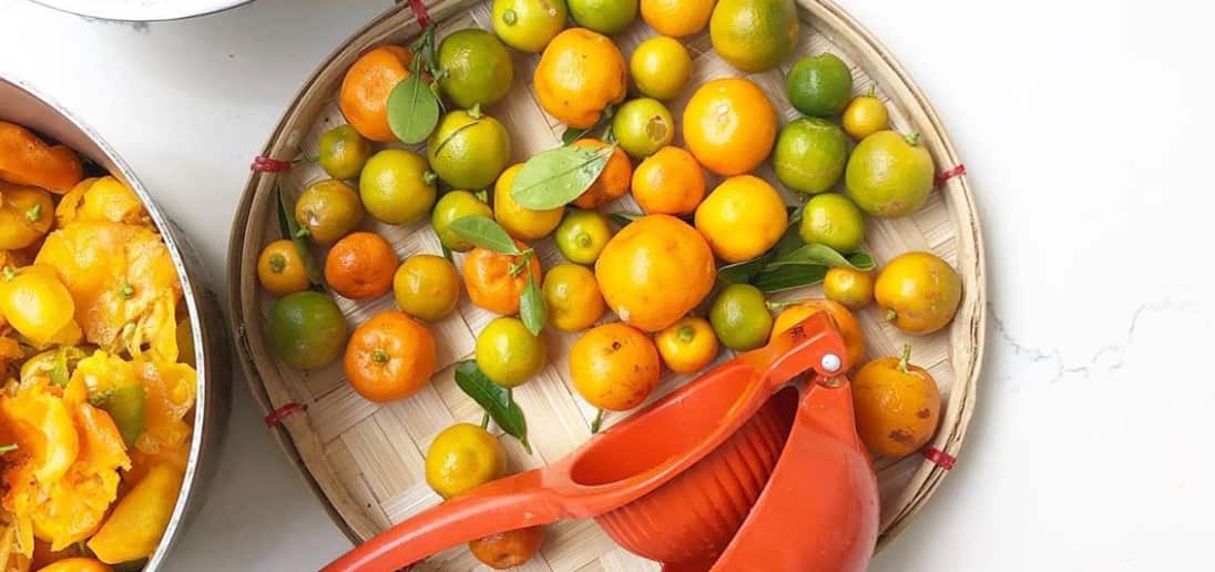 Calamansi citrus fruit