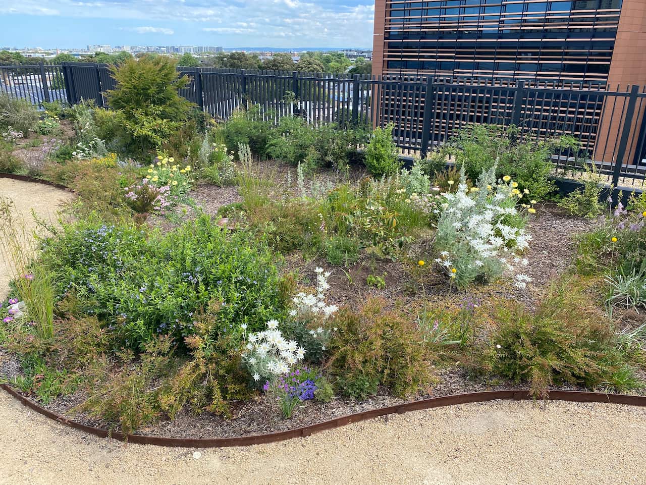 Christian Hampson is the co-founder of Indigenous social enterprise start-up Yerrabingin.