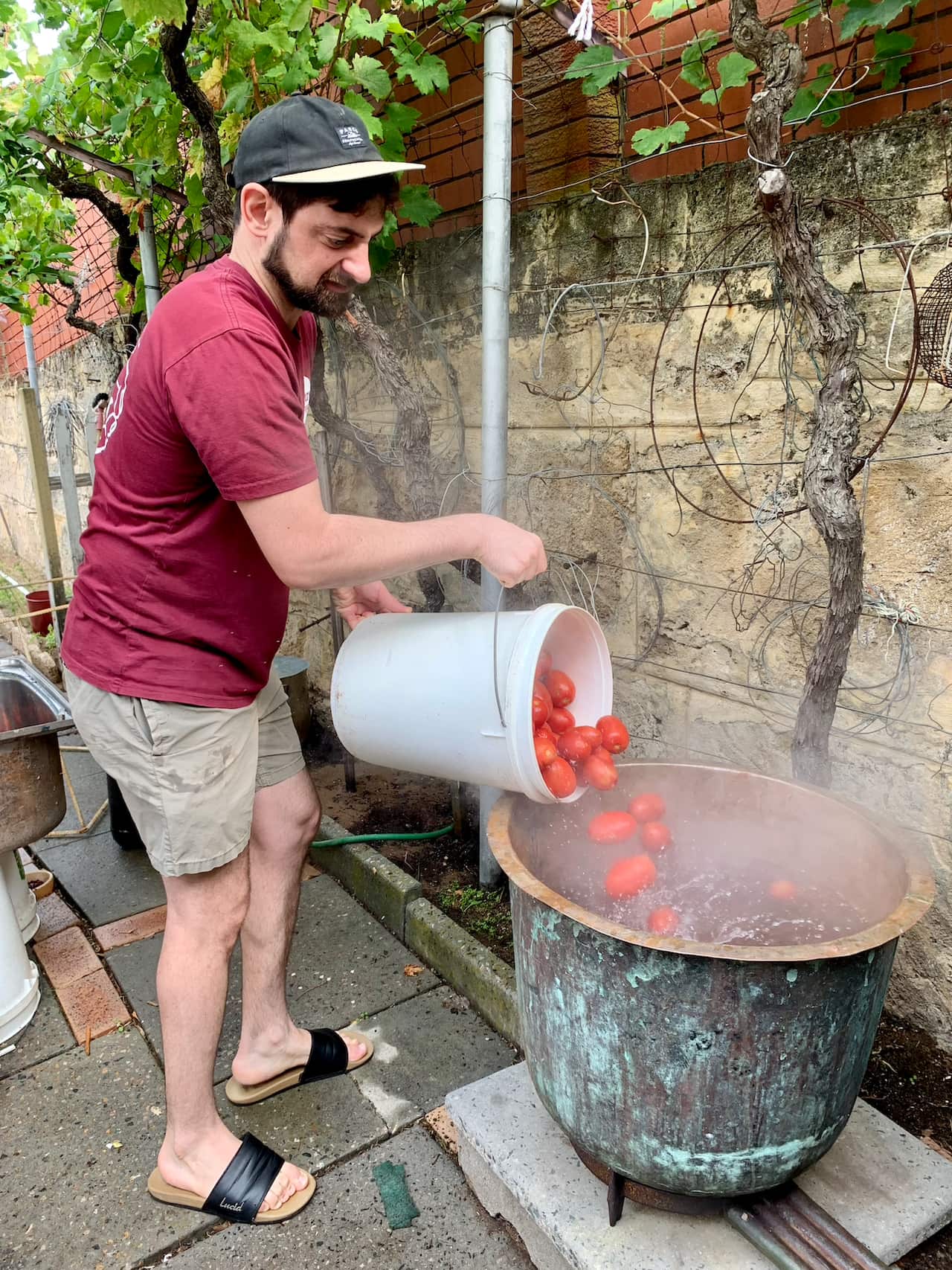 Julia D'Orazio's brother Anthony helps prepare the tomatoes.