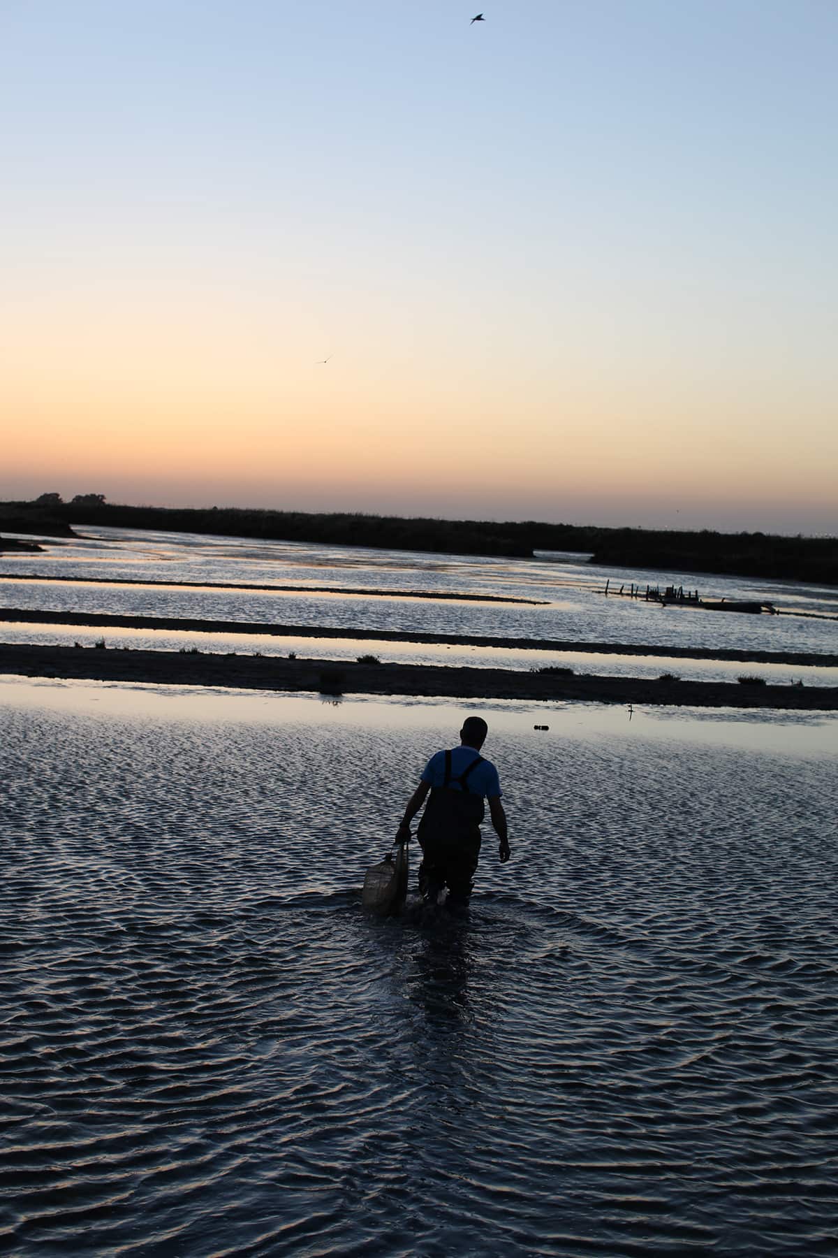 Prawn hunting in Cadiz, Episode 7